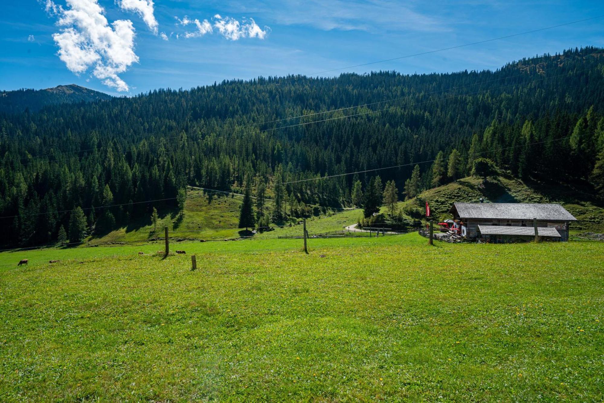 ホテル Mittereggalm Mühlbach am Hochkönig エクステリア 写真