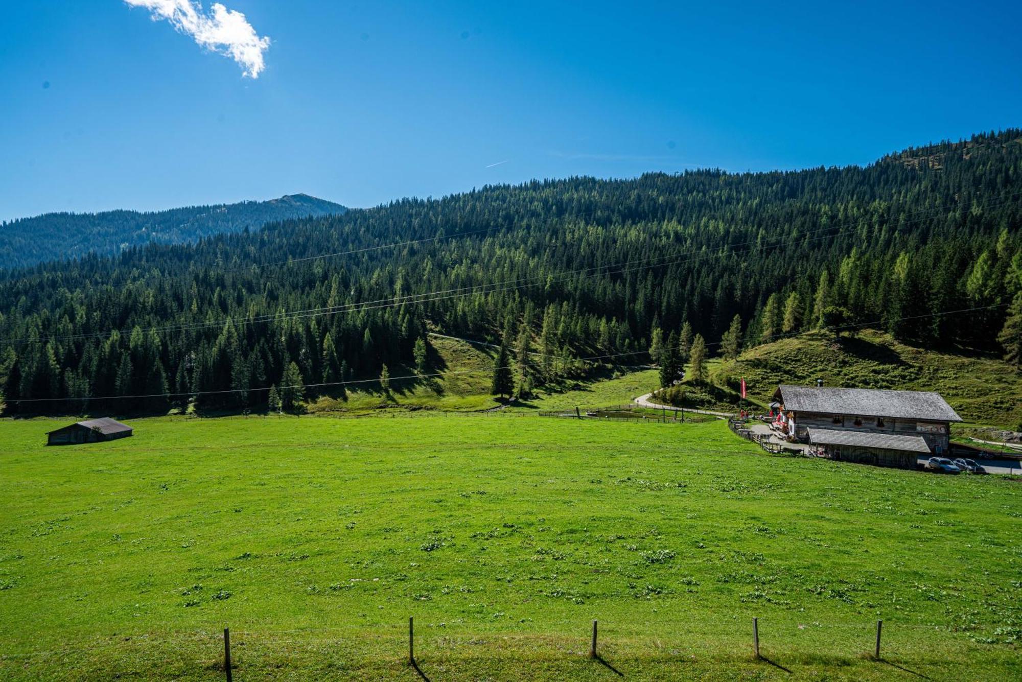 ホテル Mittereggalm Mühlbach am Hochkönig エクステリア 写真