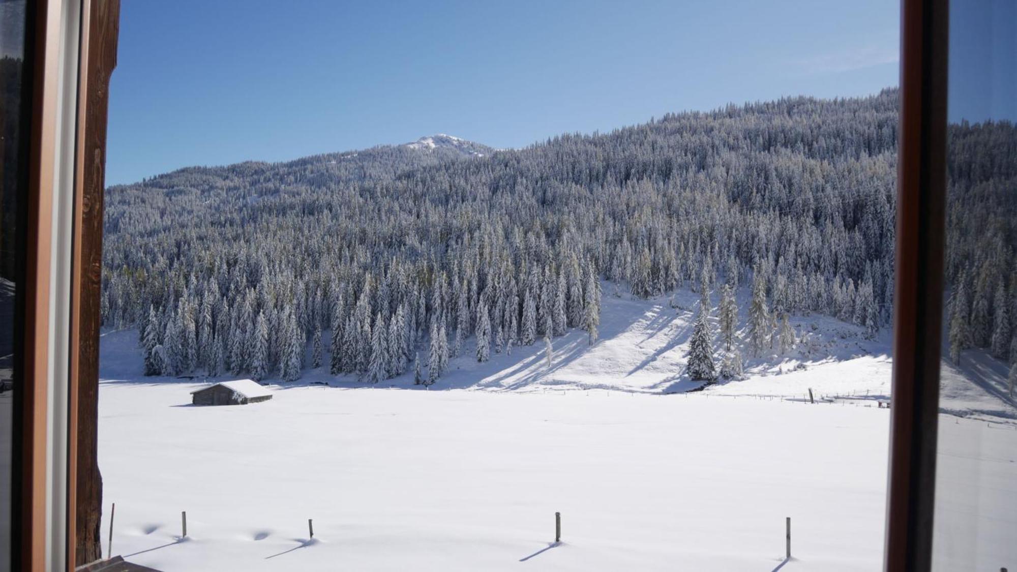 ホテル Mittereggalm Mühlbach am Hochkönig エクステリア 写真